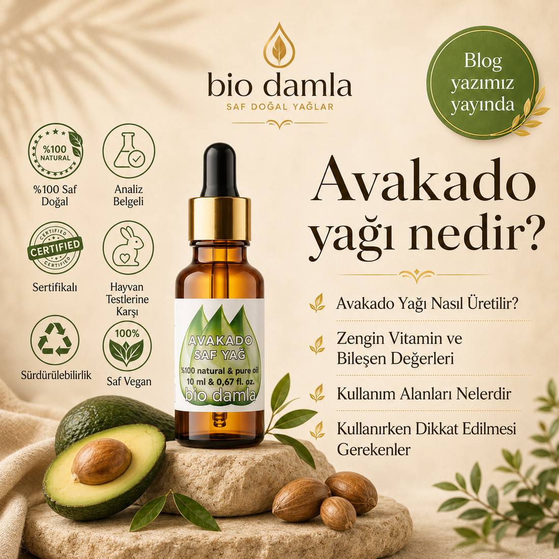Kuru Ciltler İçin Gençlik Formülü: Avokado Yağının Faydaları Nelerdir?