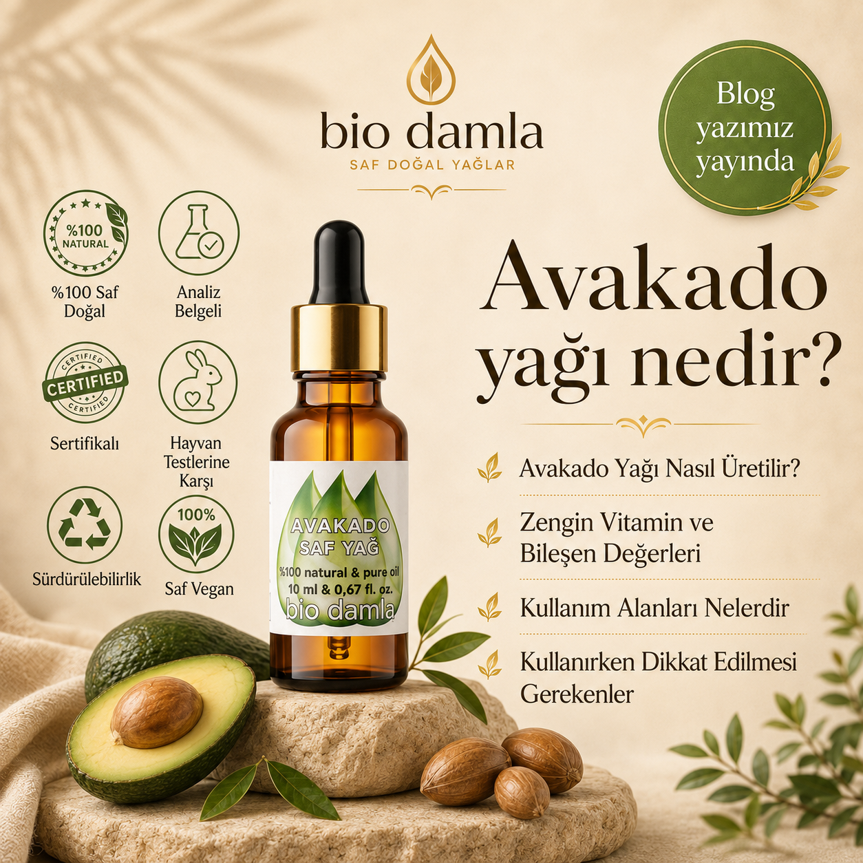 Kuru Ciltler İçin Gençlik Formülü: Avokado Yağının Faydaları Nelerdir?