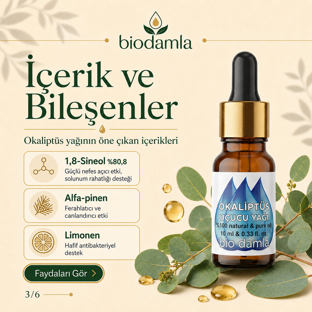 Okaliptüs Yağı – %100 Saf Esansiyel Yağ | Biodamla  "🚀 Hızlı Kargo"