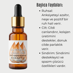 3'lü Işıltı & Yenilenme Bakım Seti  "🚀 Hızlı Kargo"